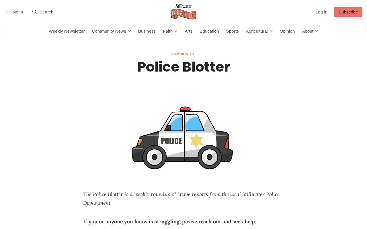 Washington County Stillwater arrest-record blotter context